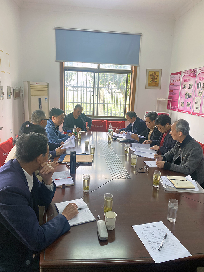 0422_143101_628.jpg 2021.4.14 朱家角镇新胜村永安桥保护修缮工程竣工验收 专家验收现场.jpg